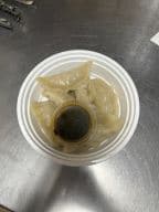 Best Dumpling (6) in Deltona, FL